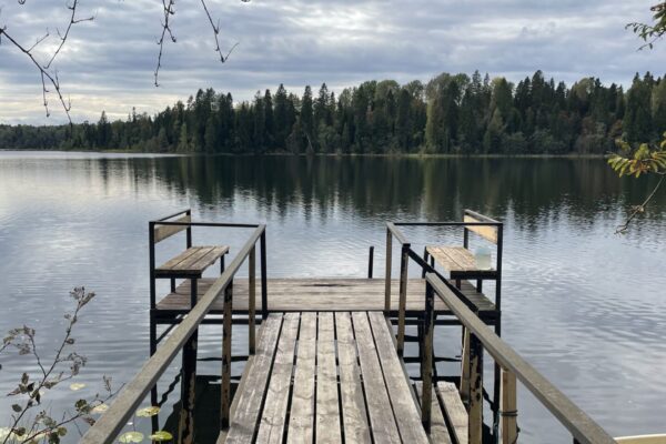 image10